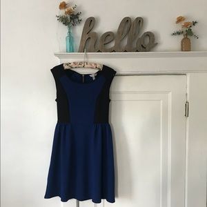 NWT Colorblock fit and flare dress